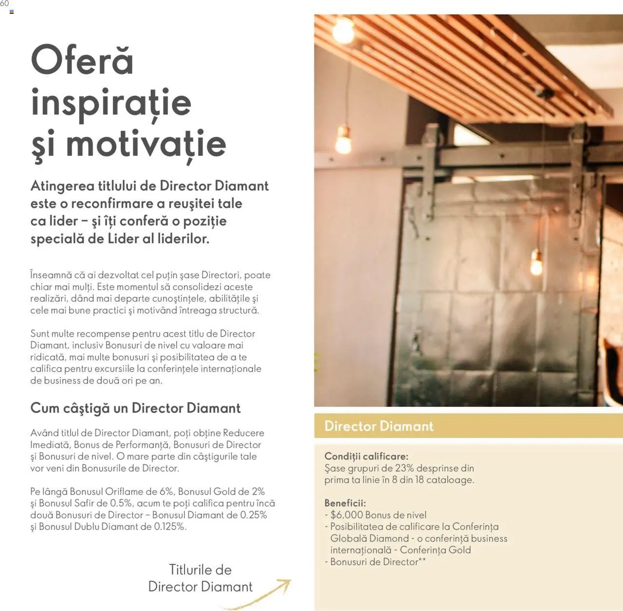 Oriflame catalog - Planul de Succes pentru Partenerul de Brand