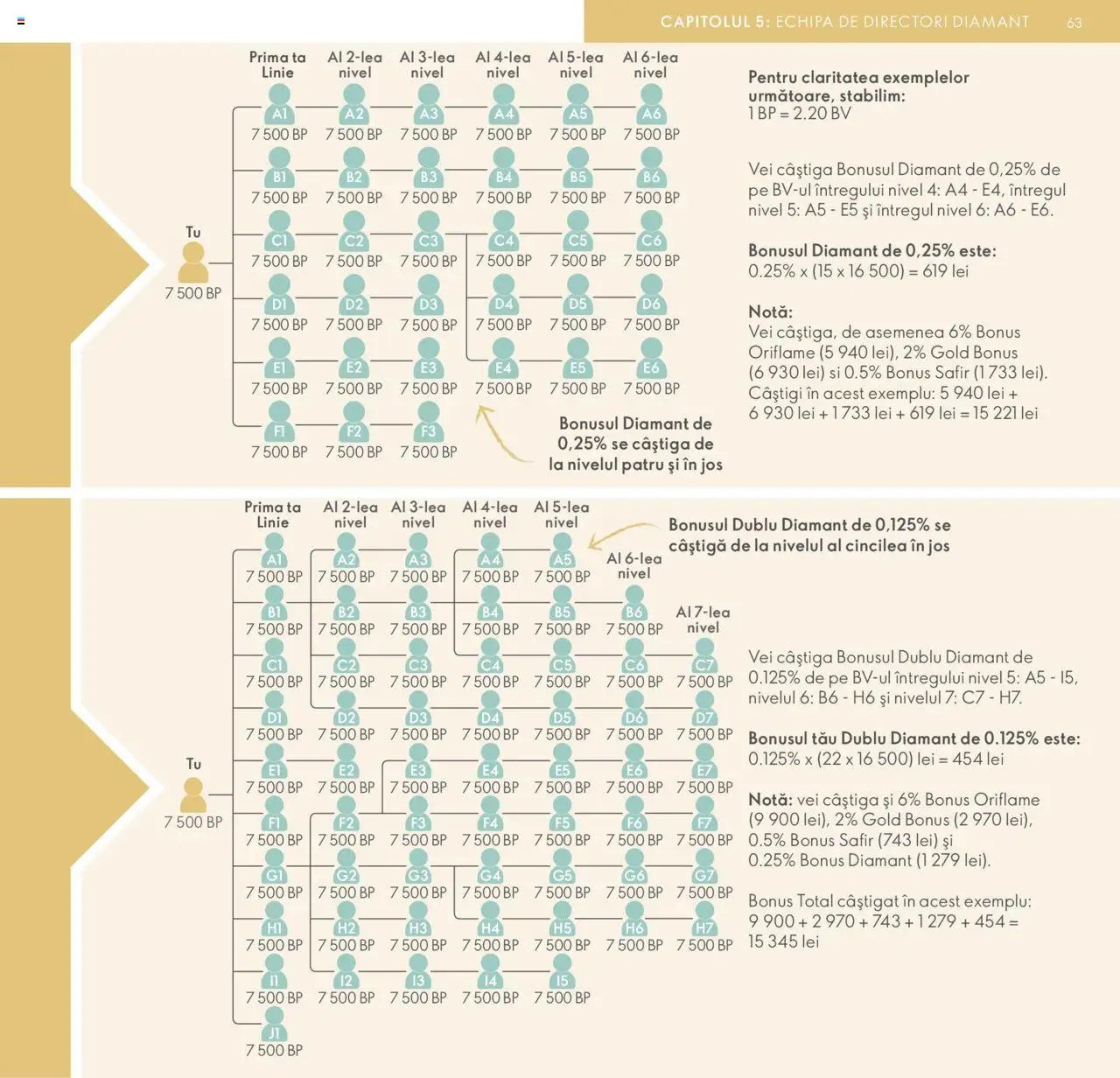 Oriflame catalog - Planul de Succes pentru Partenerul de Brand