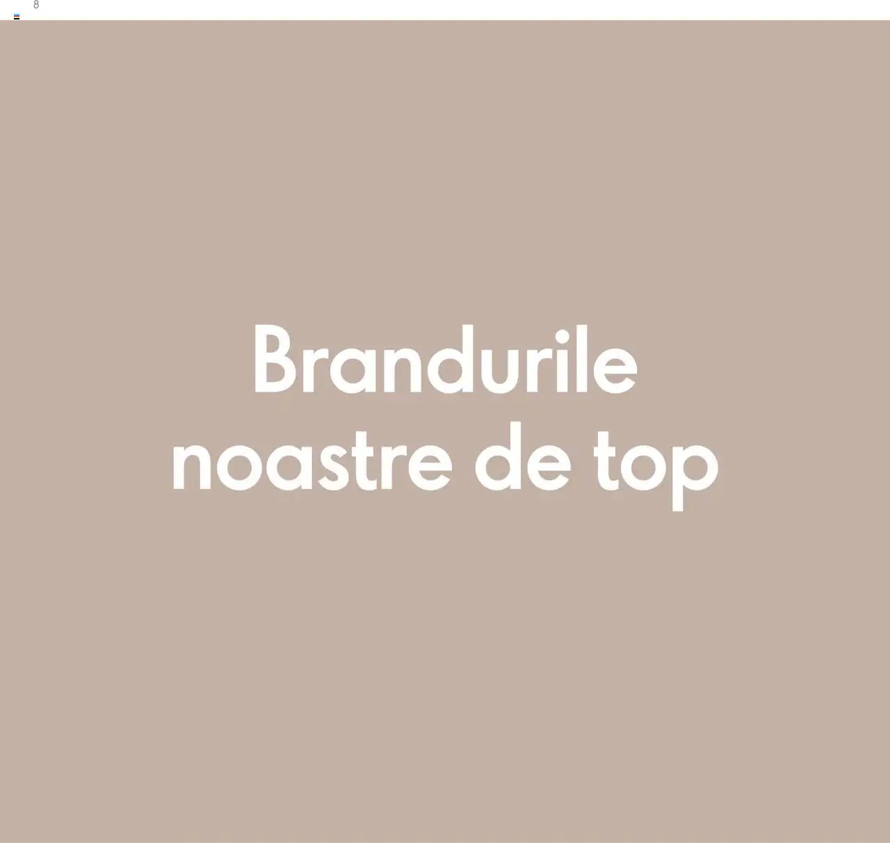 Oriflame catalog - Planul de Succes pentru Partenerul de Brand