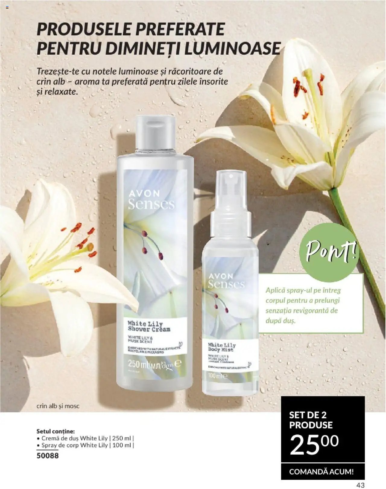 Catalog Avon - Mini Broșură