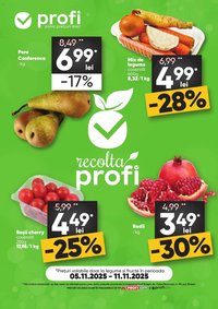 Catalog Profi Fresh City