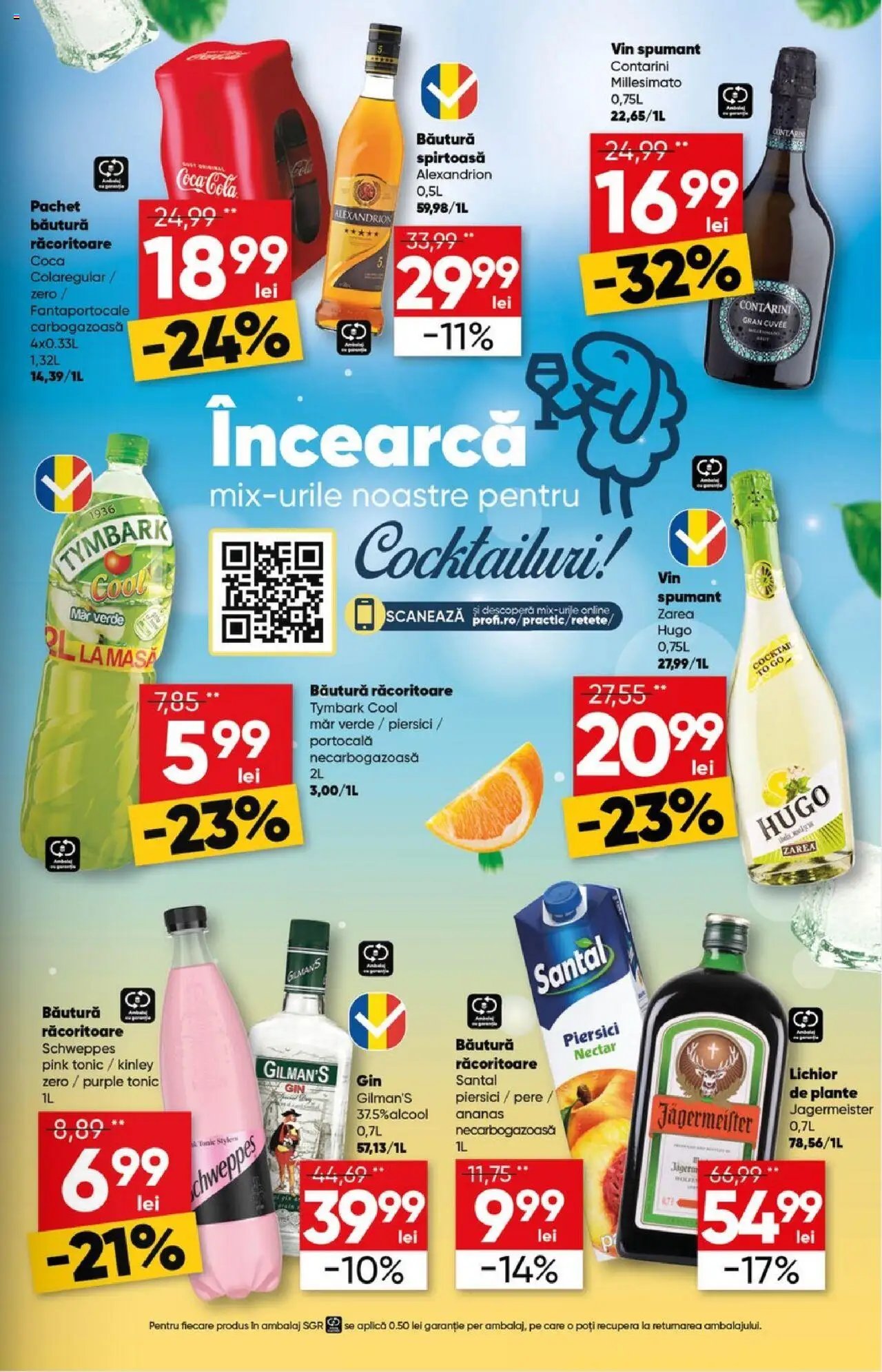 Catalog Profi Go