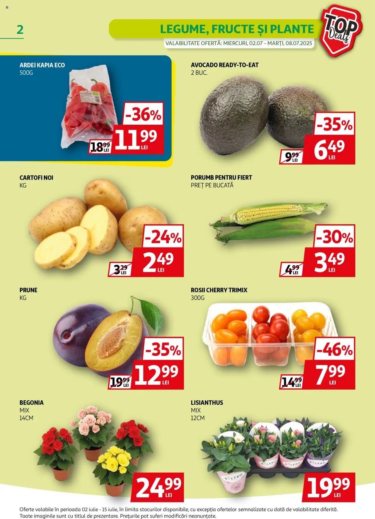 Catalog Auchan