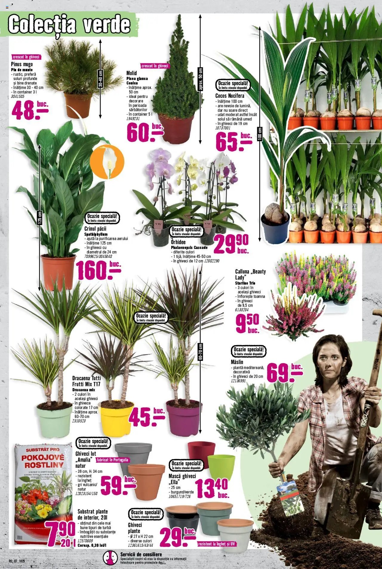 Hornbach catalog - Timișoara