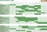 Hornbach catalog - Calendar de întreținere a grădinii