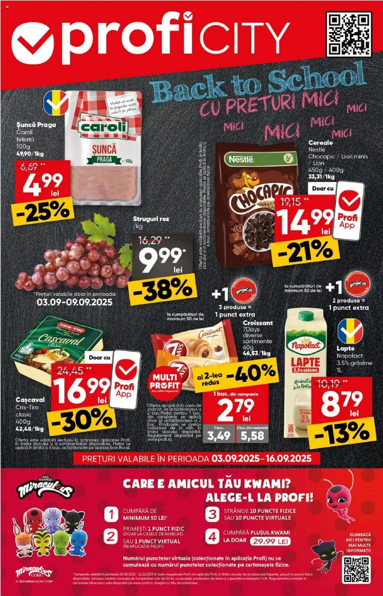 Catalog Profi City