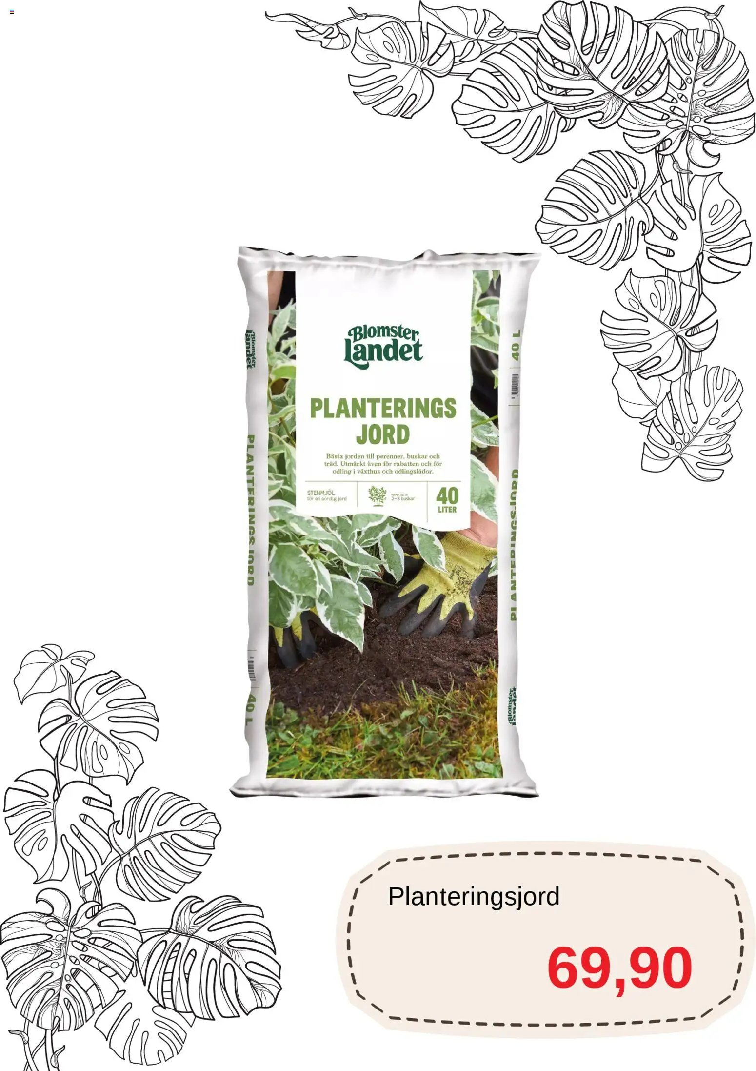 Blomsterlandet erbjudanden