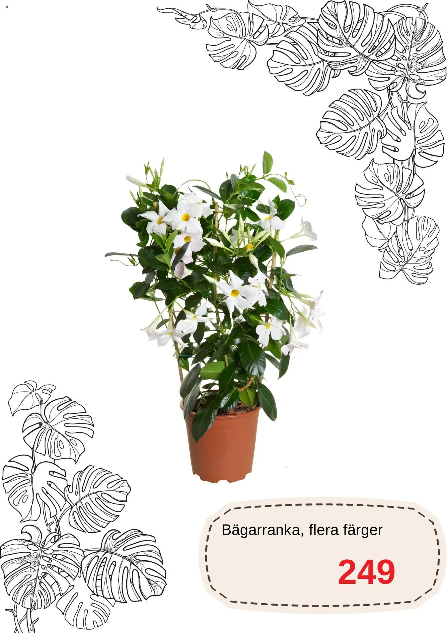 Blomsterlandet erbjudanden