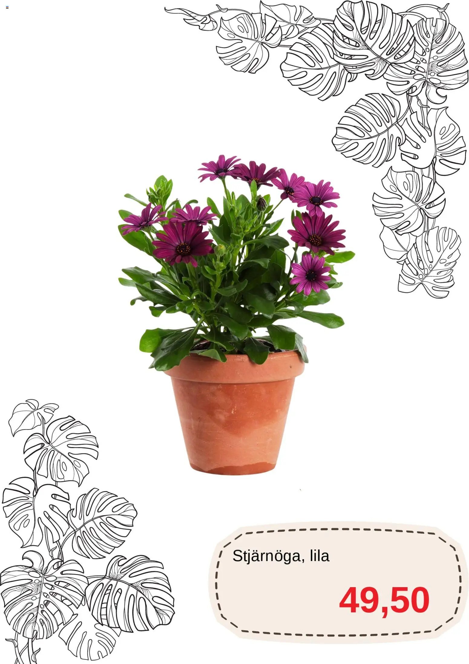 Blomsterlandet erbjudanden