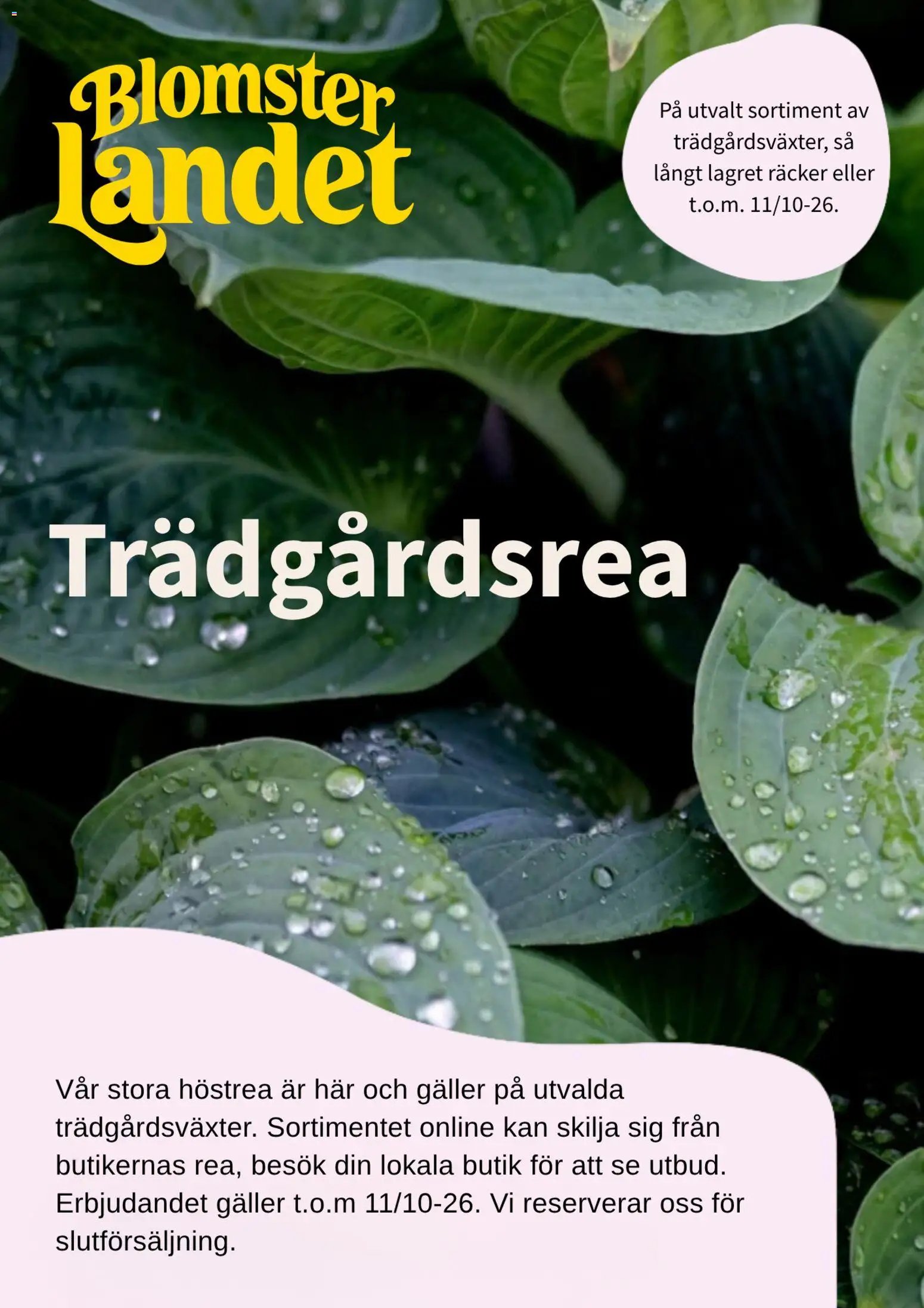 Blomsterlandet erbjudanden