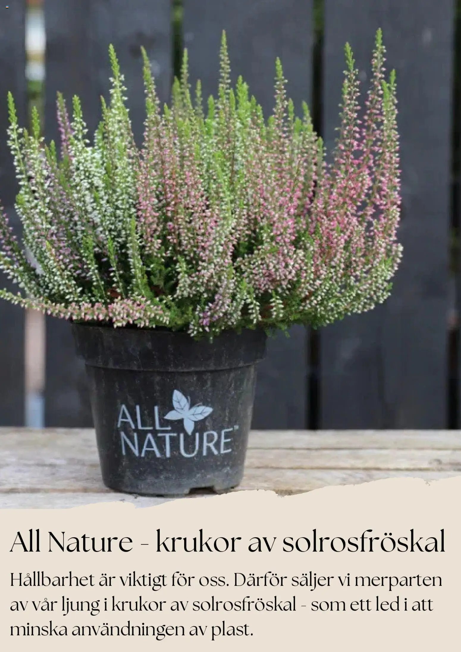 Plantagen - erbjudanden