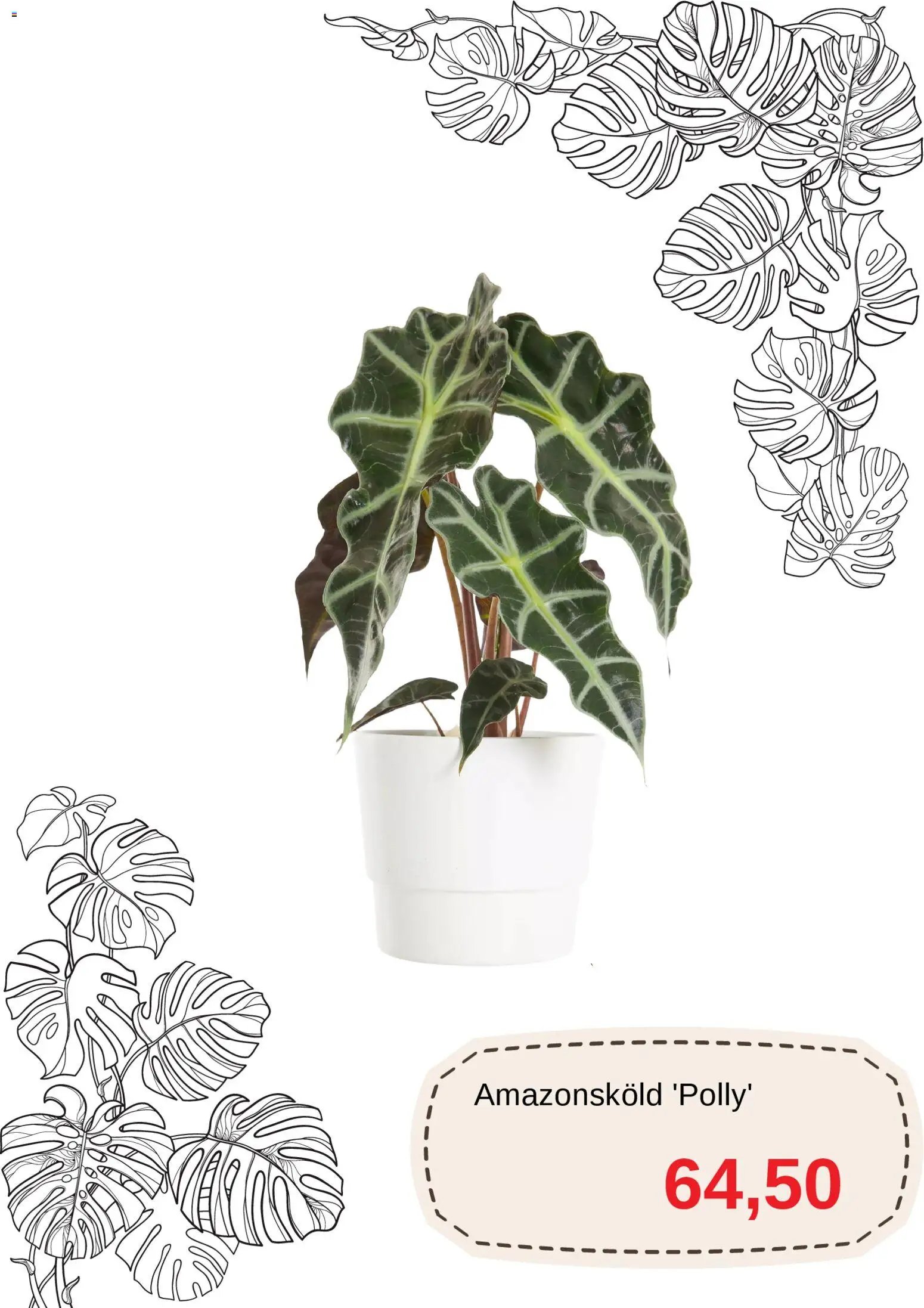 Blomsterlandet erbjudanden