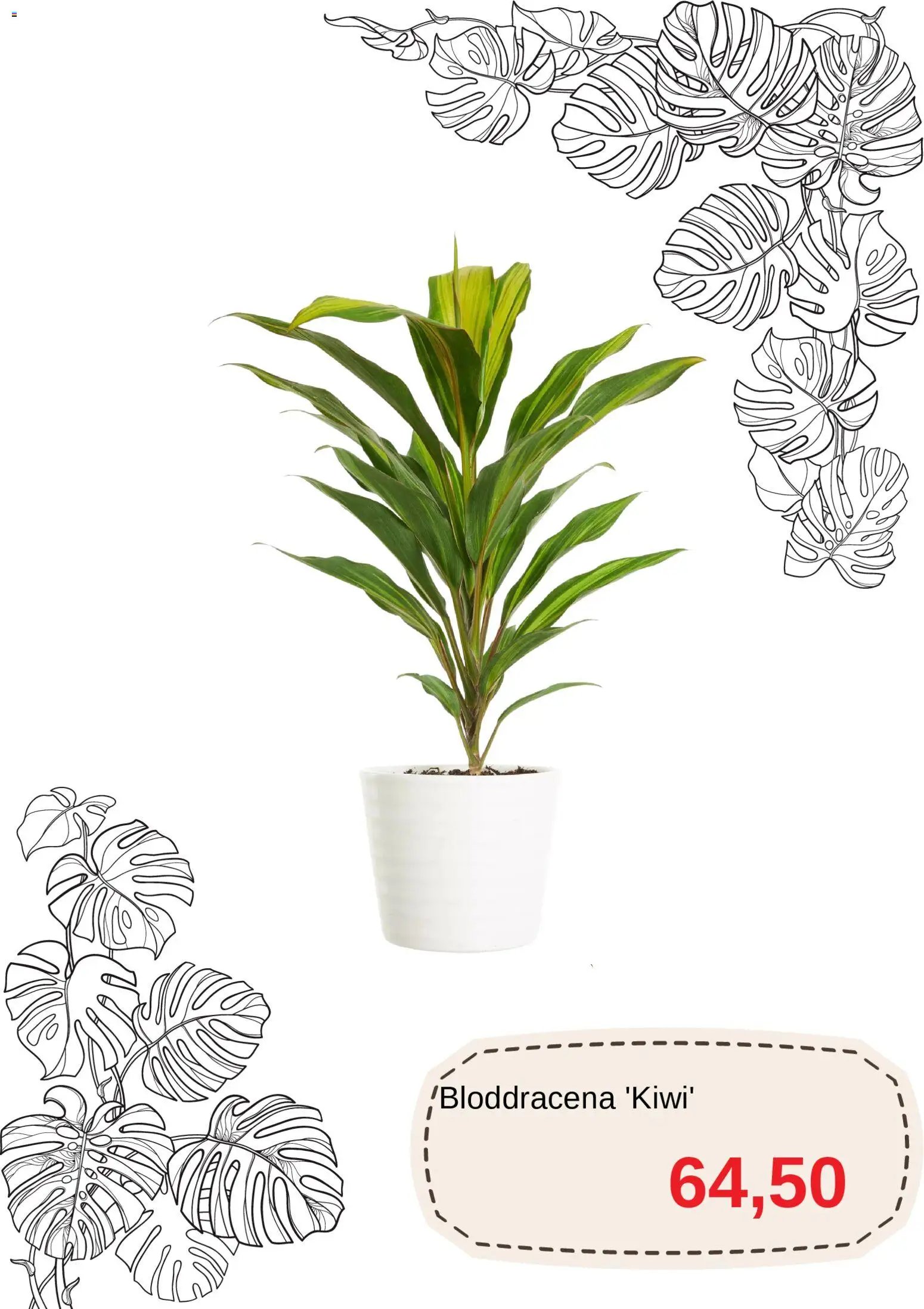 Blomsterlandet erbjudanden