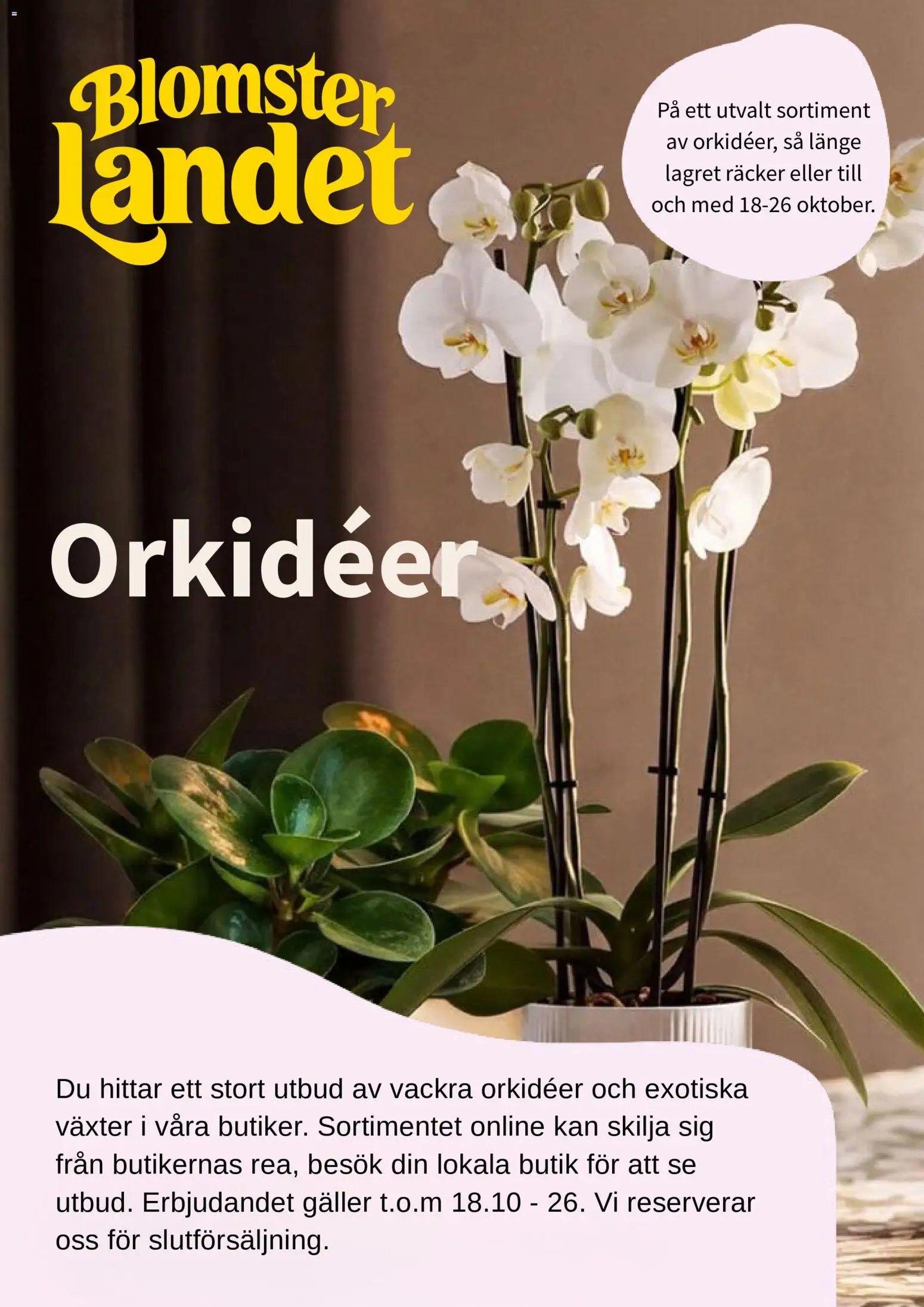 Blomsterlandet erbjudanden