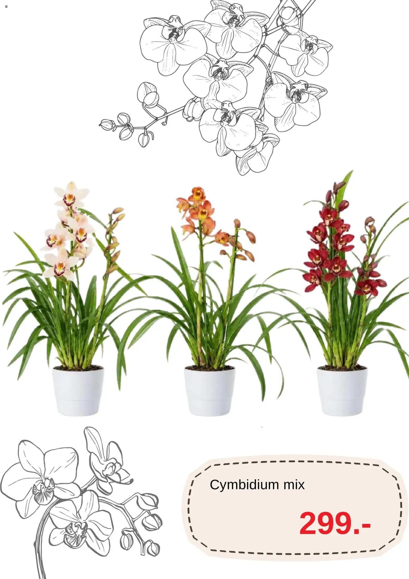Blomsterlandet erbjudanden