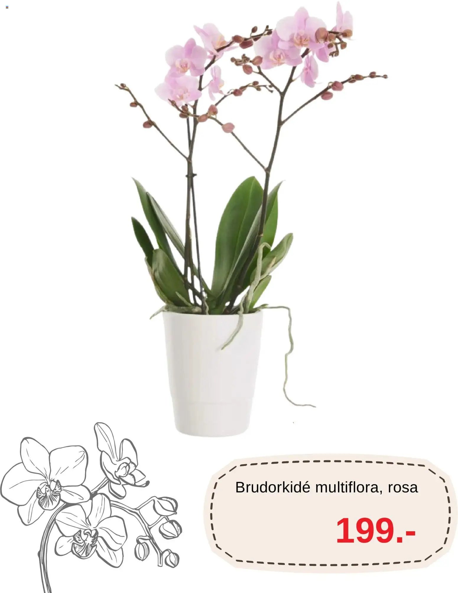 Blomsterlandet erbjudanden