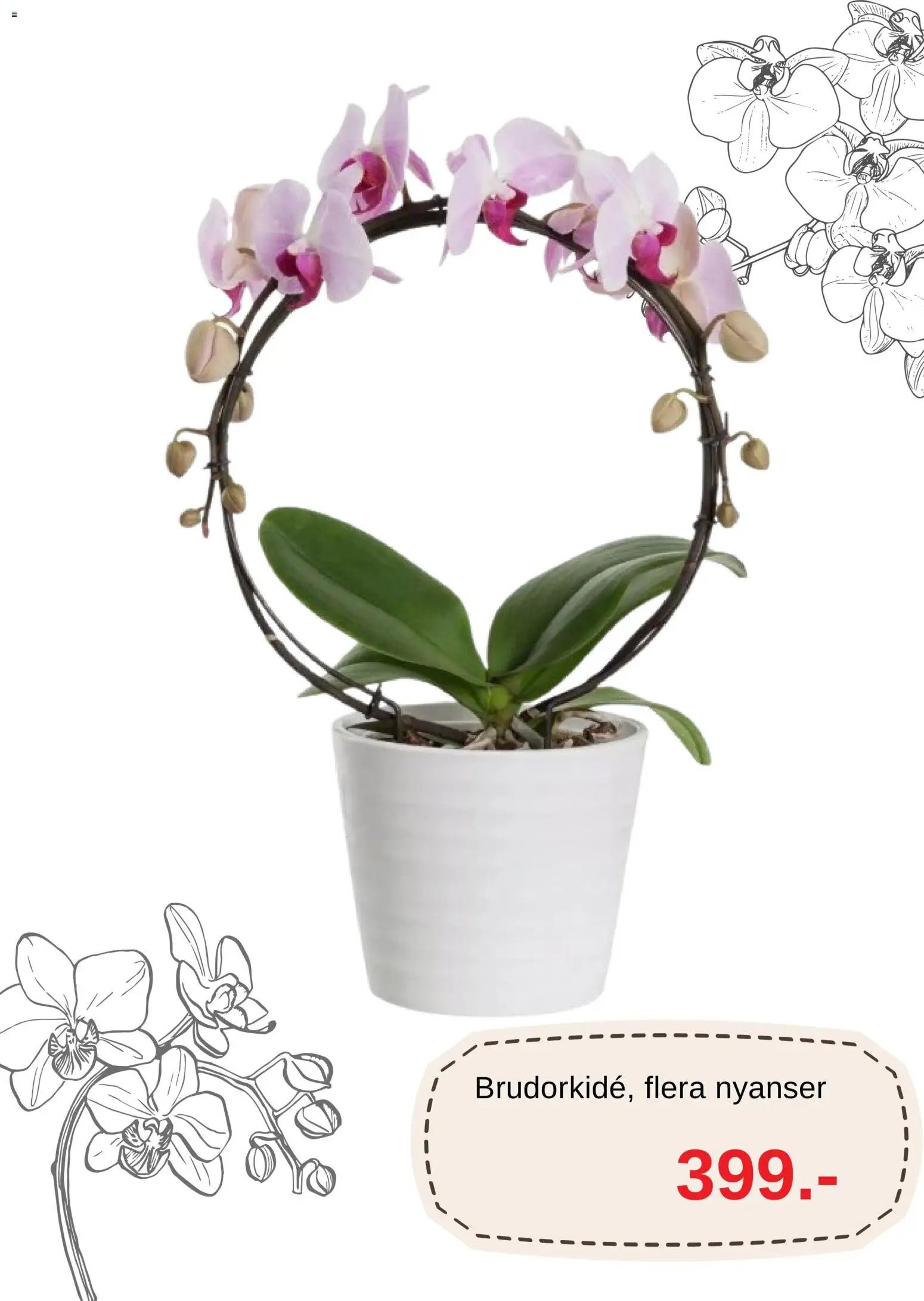 Blomsterlandet erbjudanden