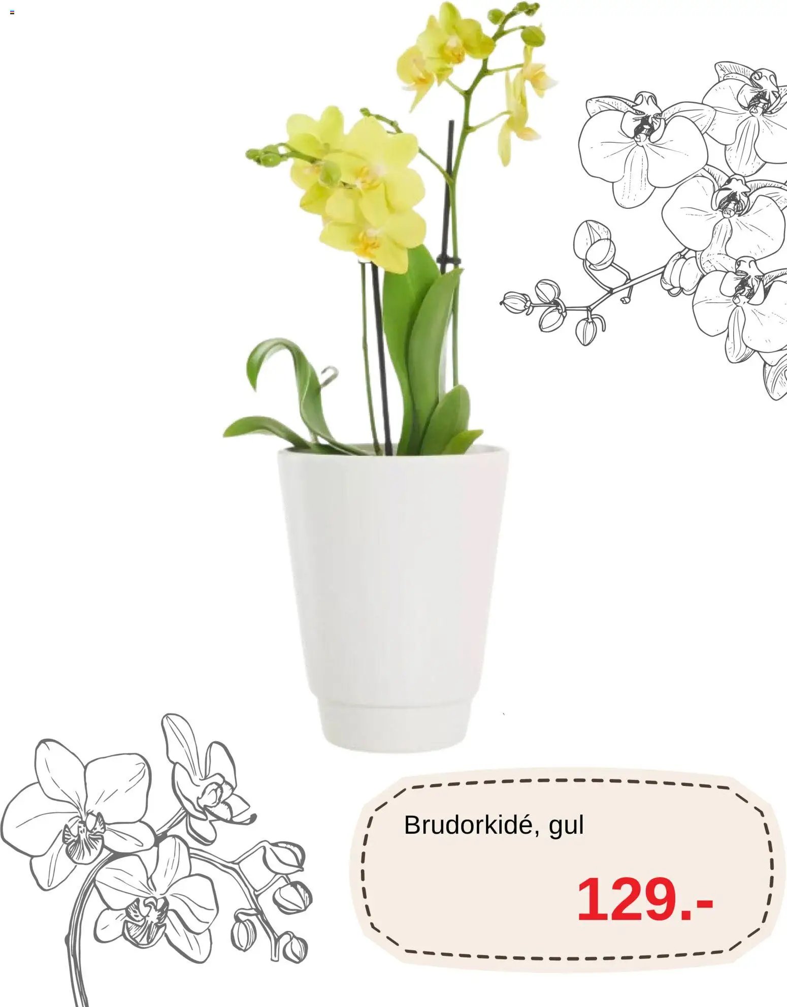 Blomsterlandet erbjudanden