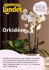 Blomsterlandet erbjudanden