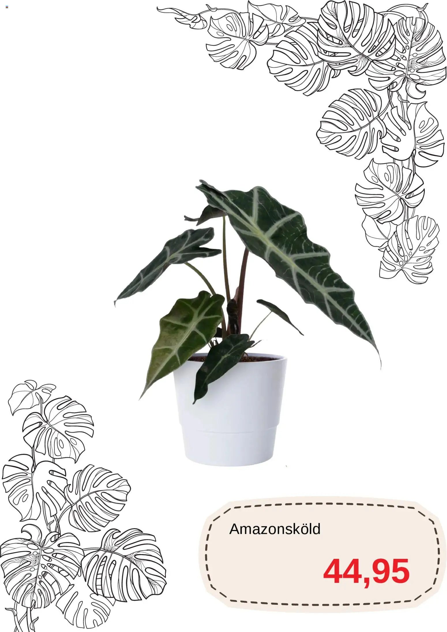 Blomsterlandet - erbjudanden