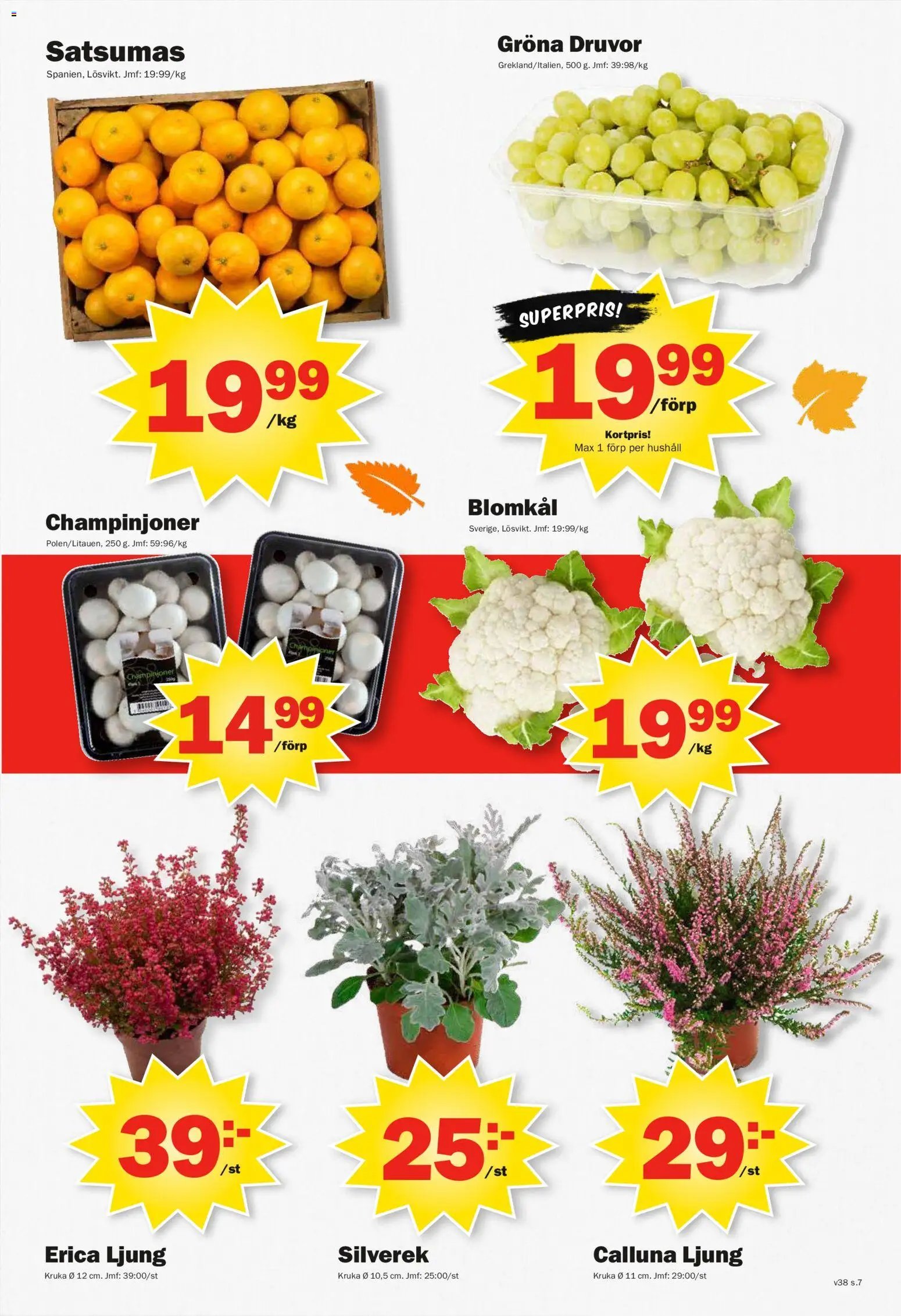 Pekås erbjudanden
