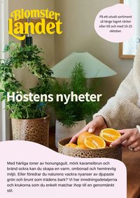 Blomsterlandet erbjudanden