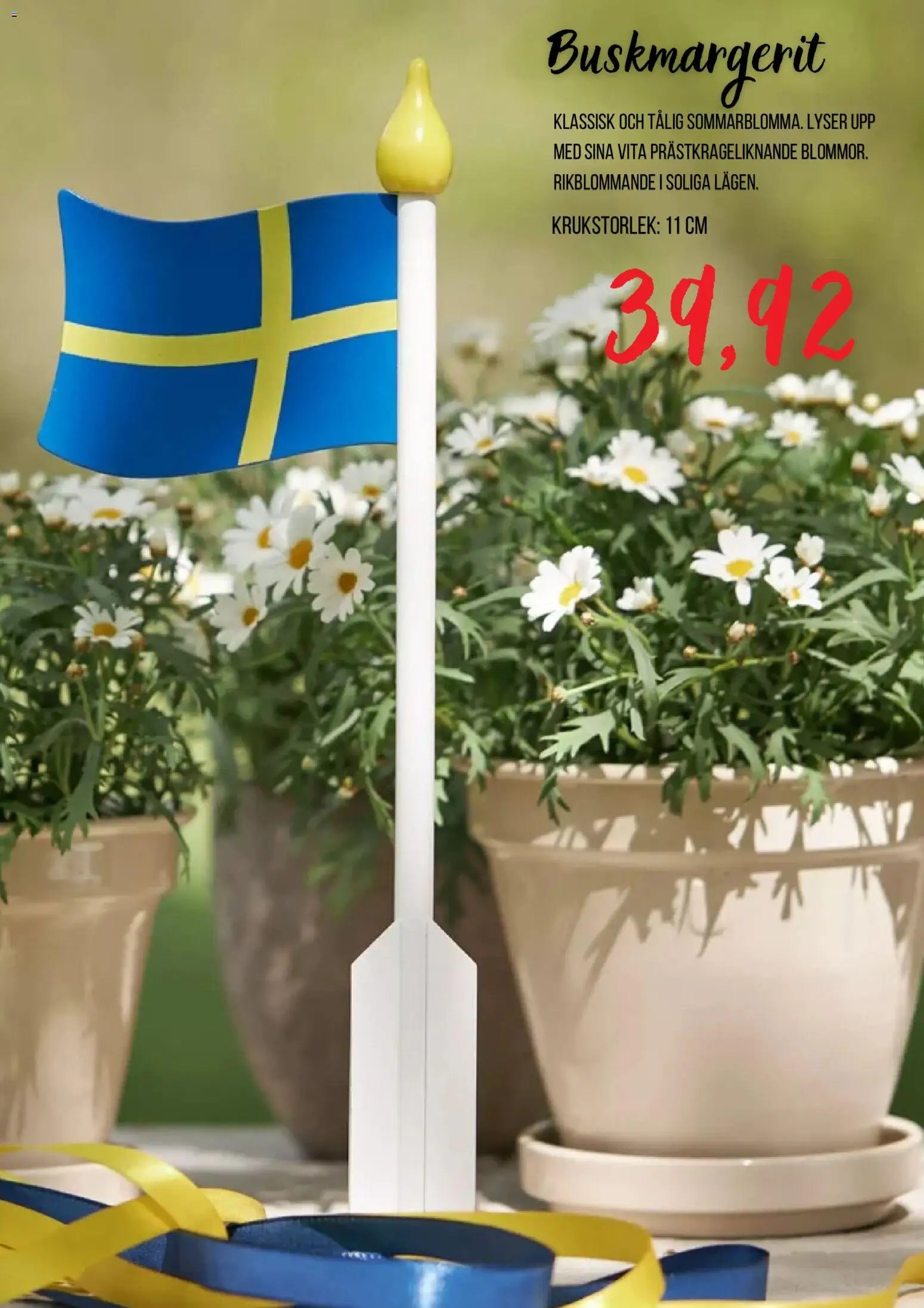 Blomsterlandet erbjudanden
