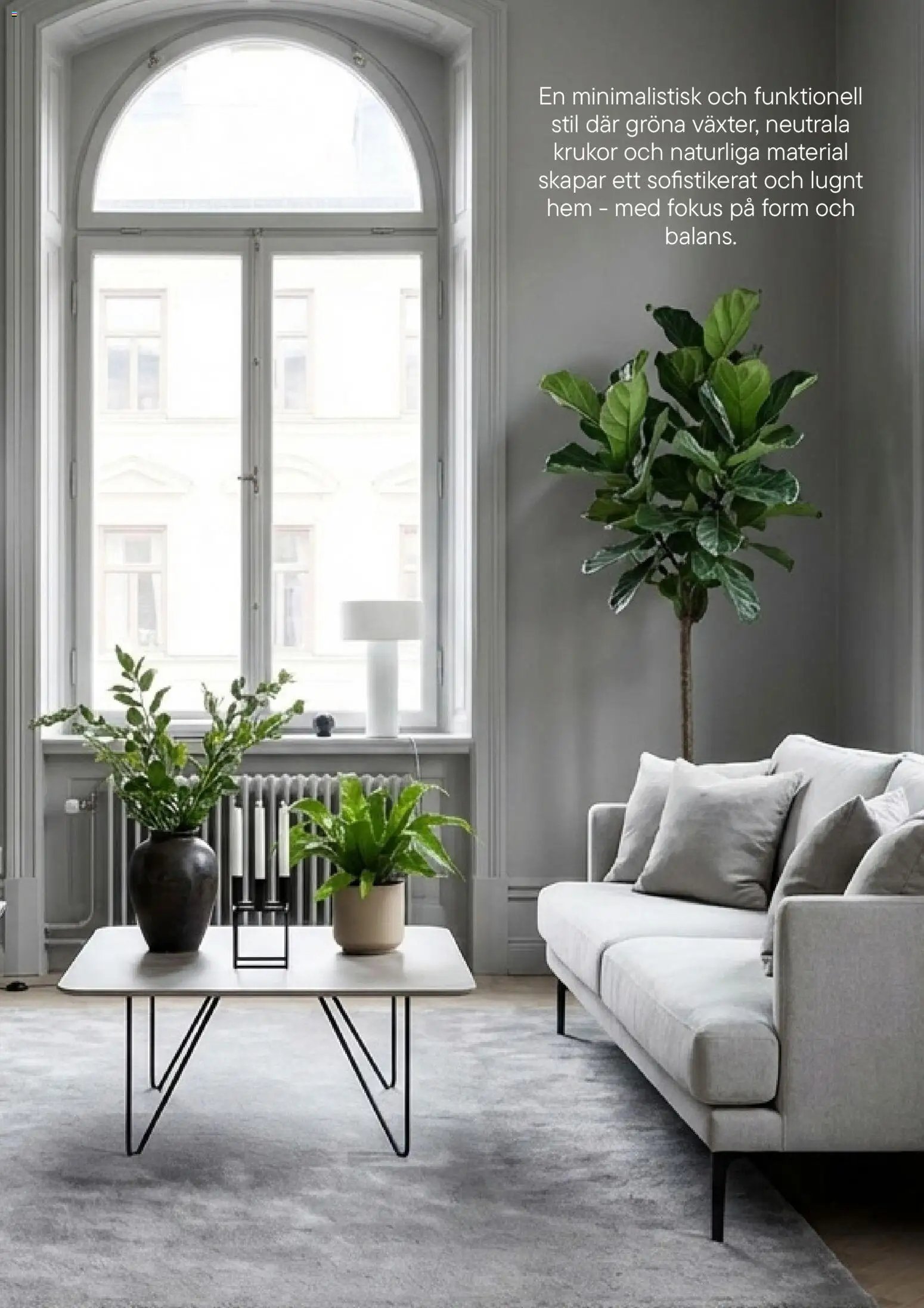Plantagen - erbjudanden