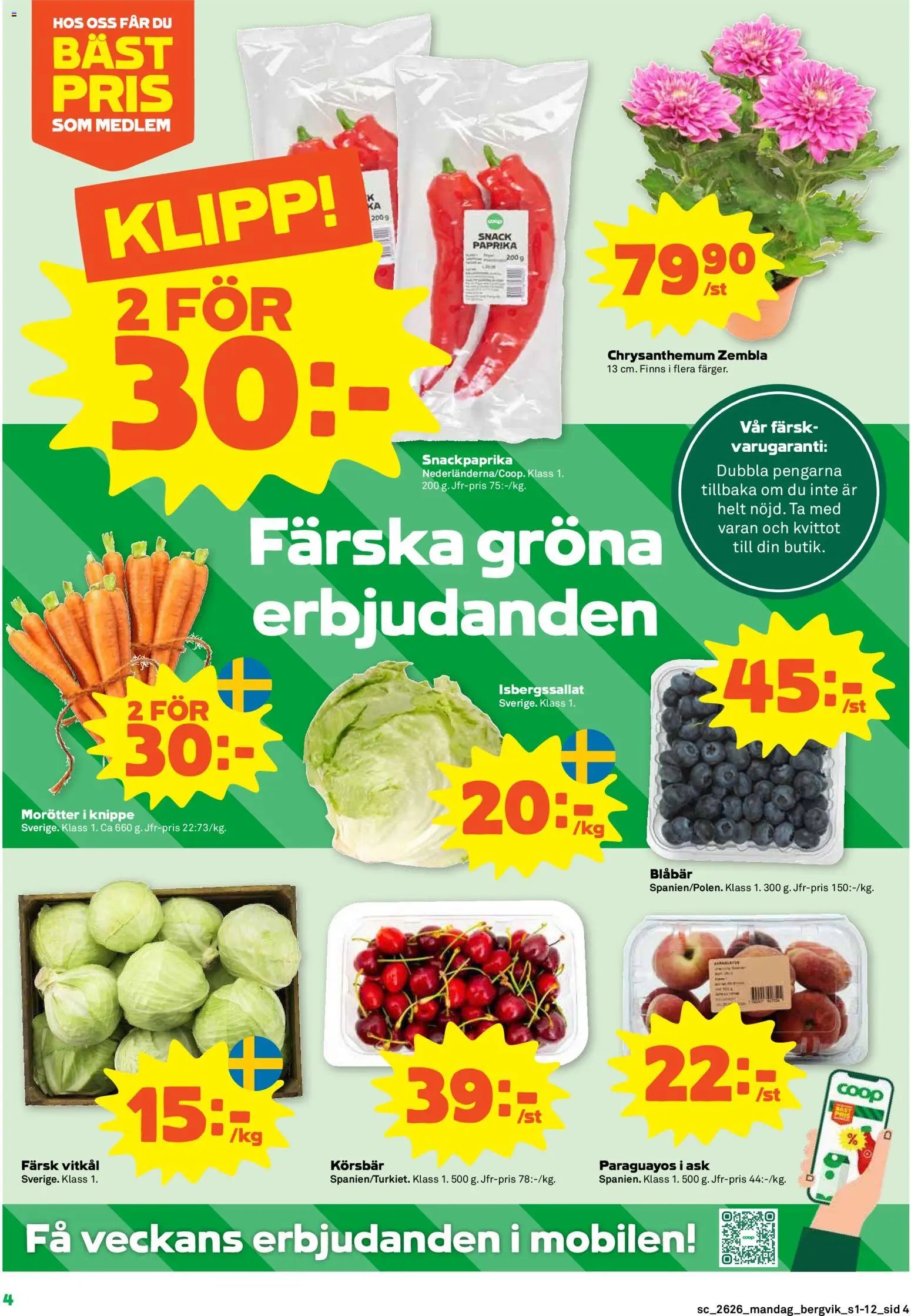 Stora Coop erbjudanden