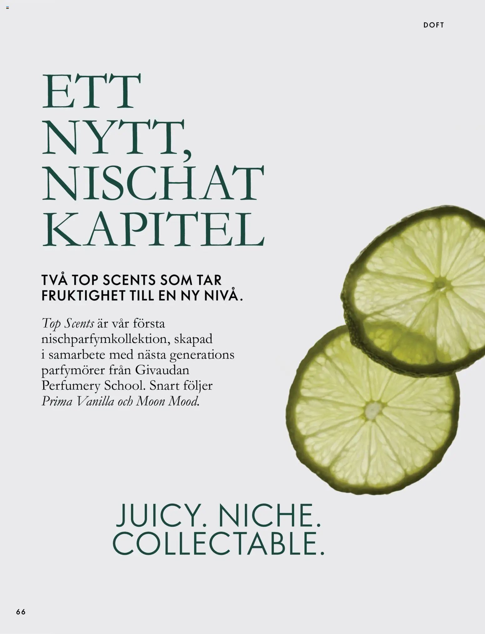 Oriflame erbjudanden 14/26