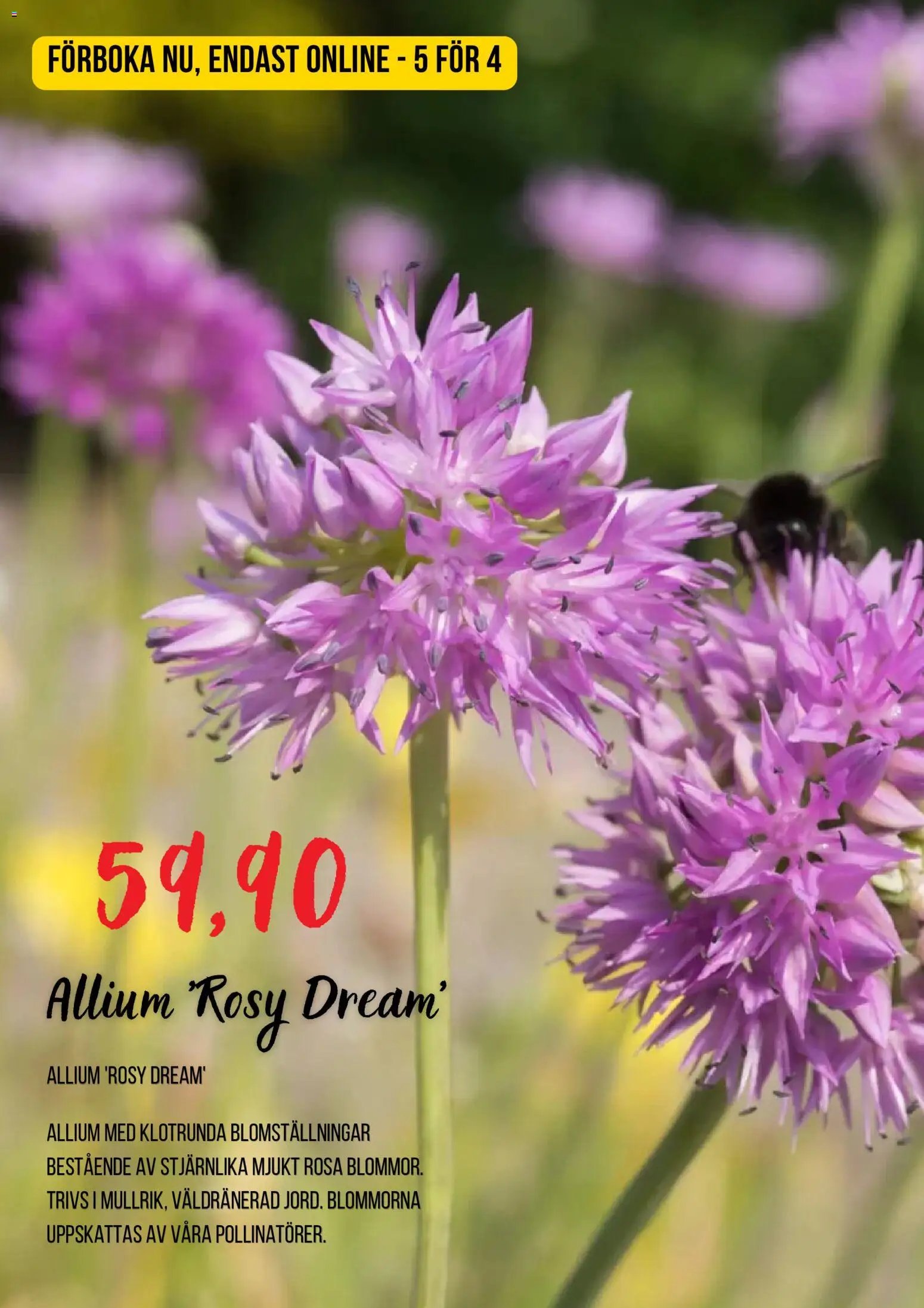 Blomsterlandet erbjudanden