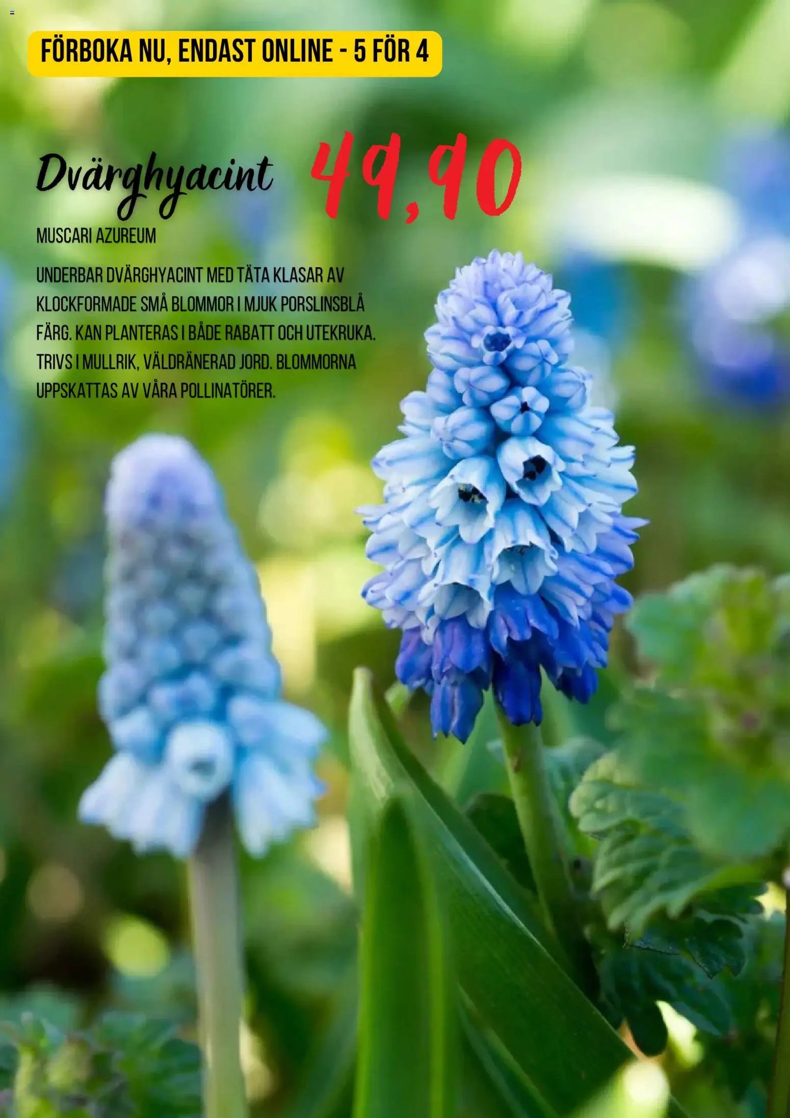 Blomsterlandet erbjudanden