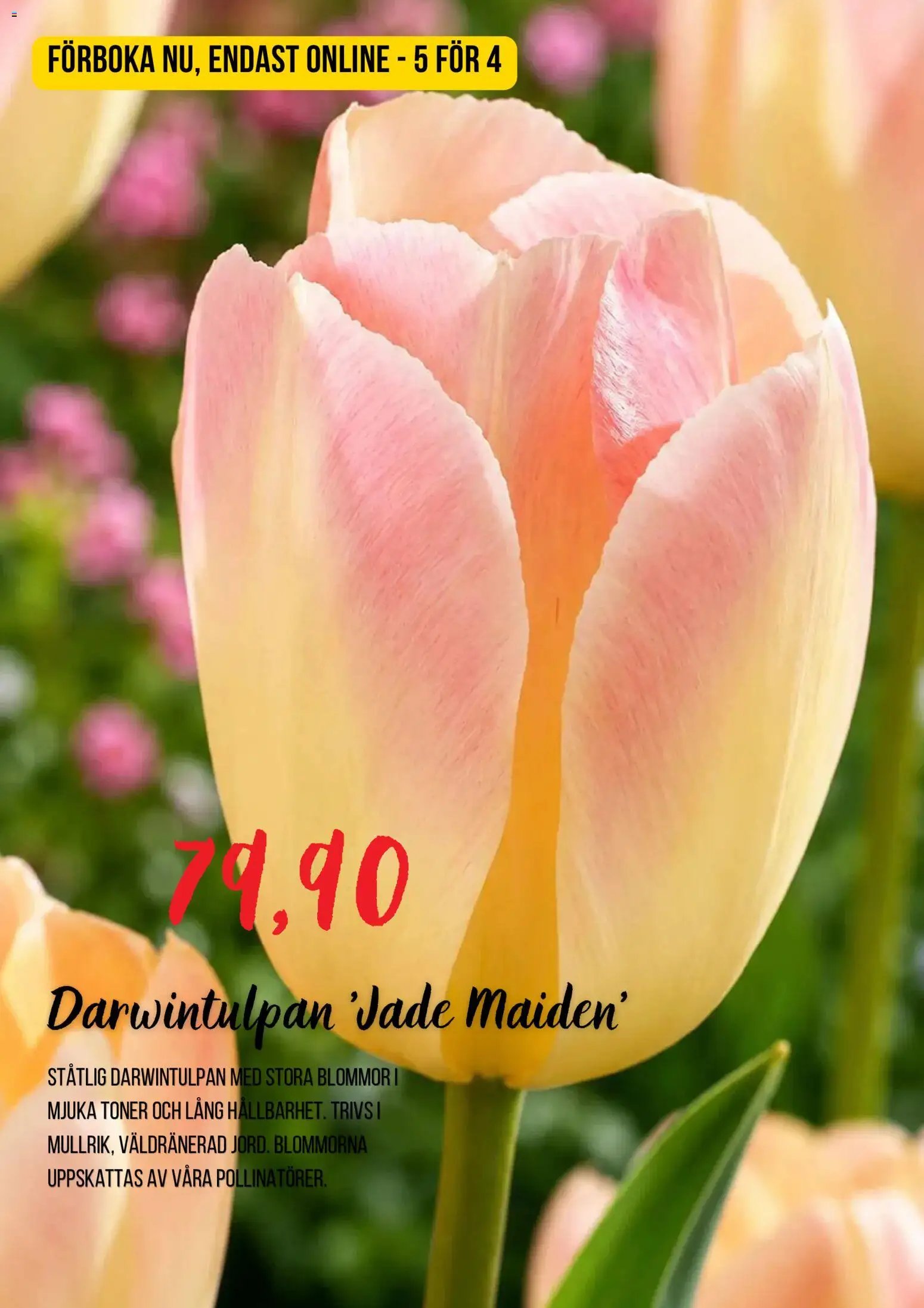 Blomsterlandet erbjudanden