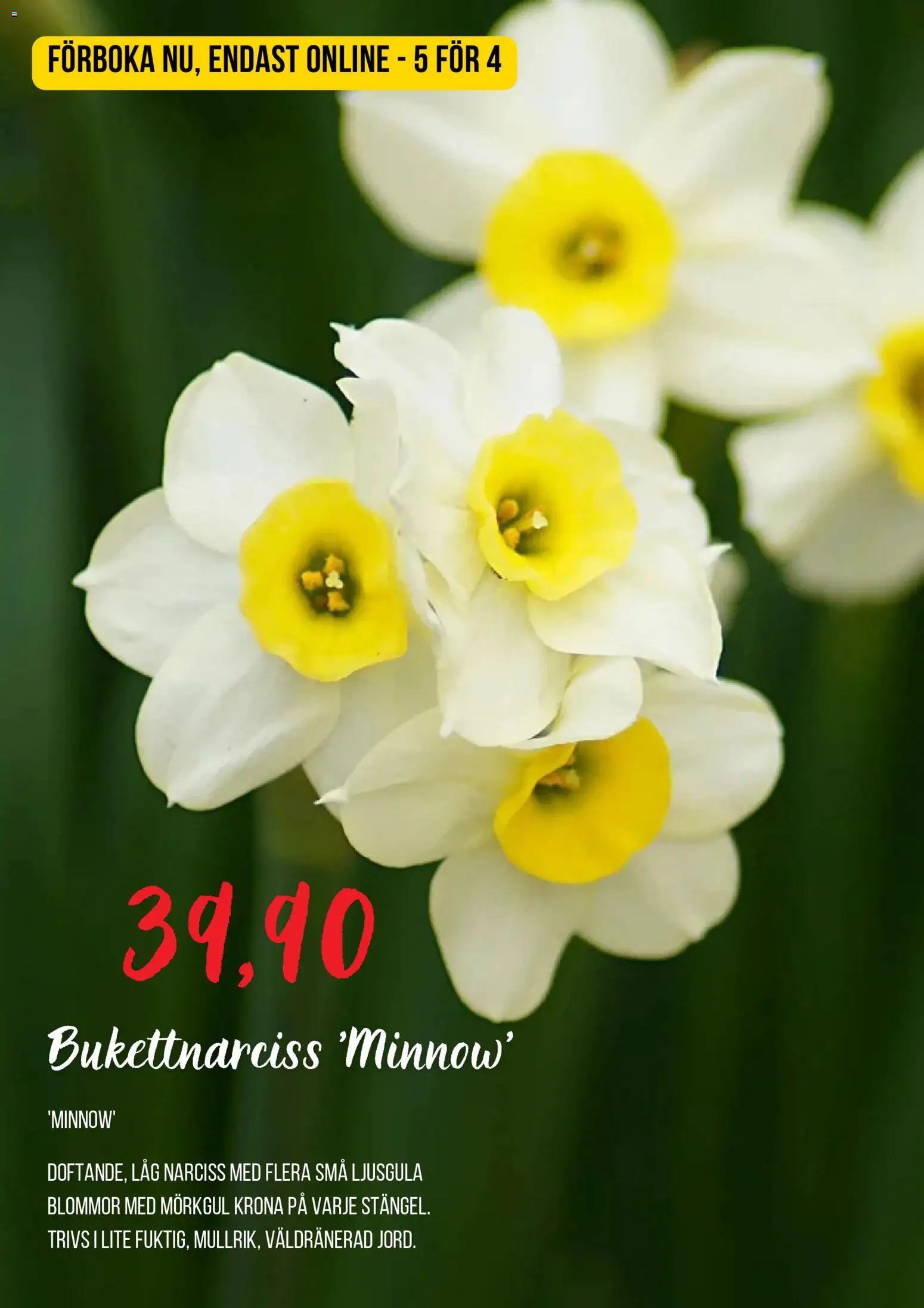Blomsterlandet erbjudanden