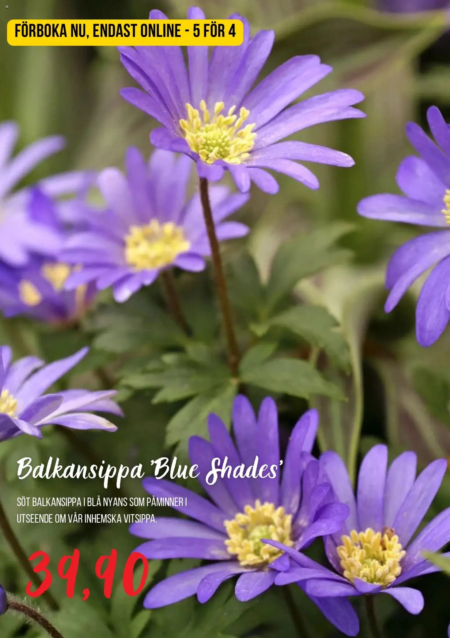 Blomsterlandet erbjudanden