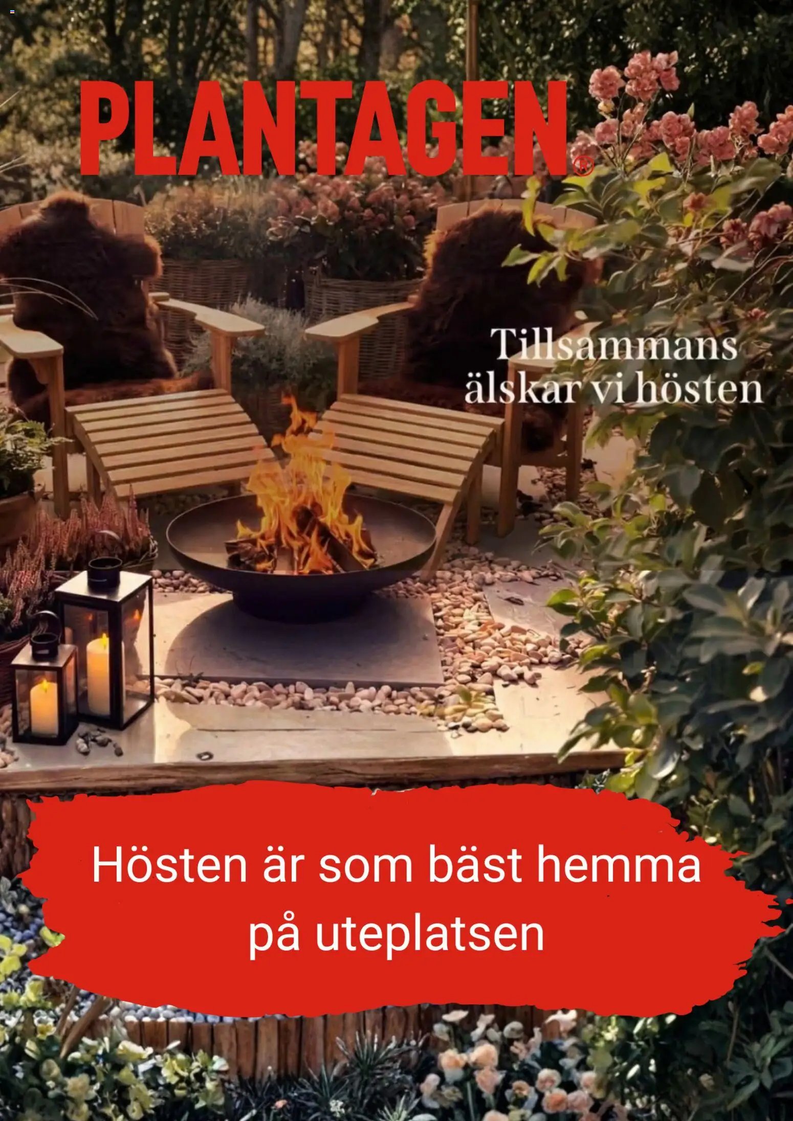 Plantagen erbjudanden