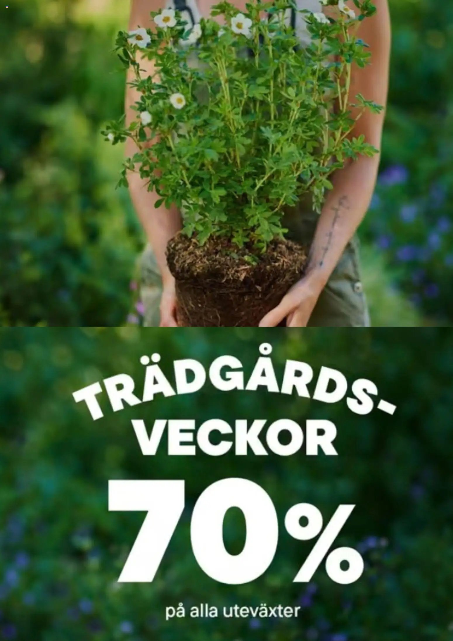 Plantagen erbjudanden