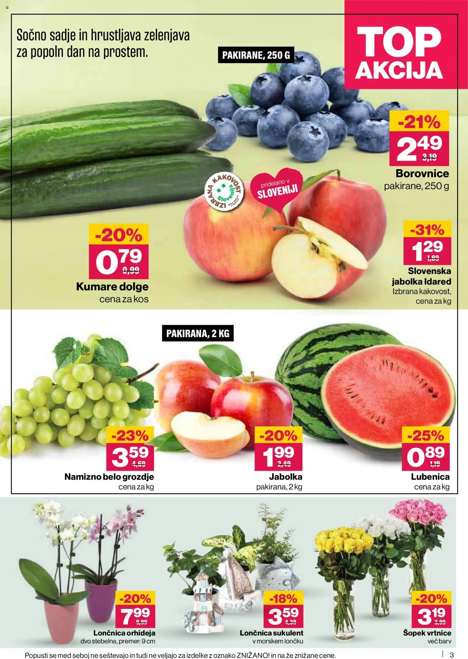 Mercator katalog