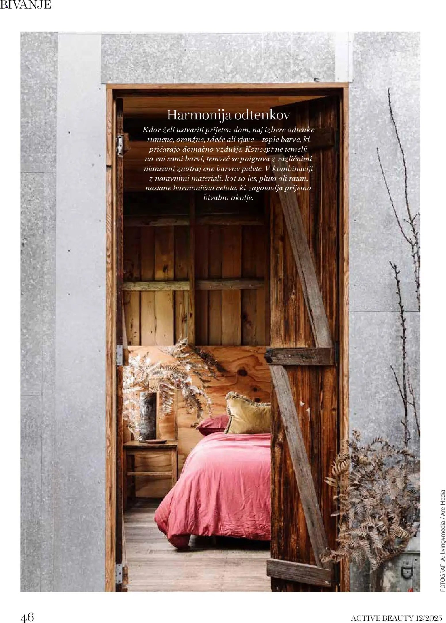 DM Drogerie Markt katalog active beauty (2025-12-01 - 2025-12-31)