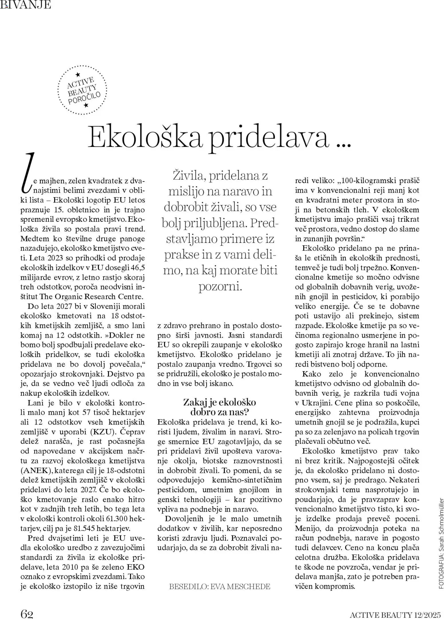 DM Drogerie Markt katalog active beauty (2025-12-01 - 2025-12-31)