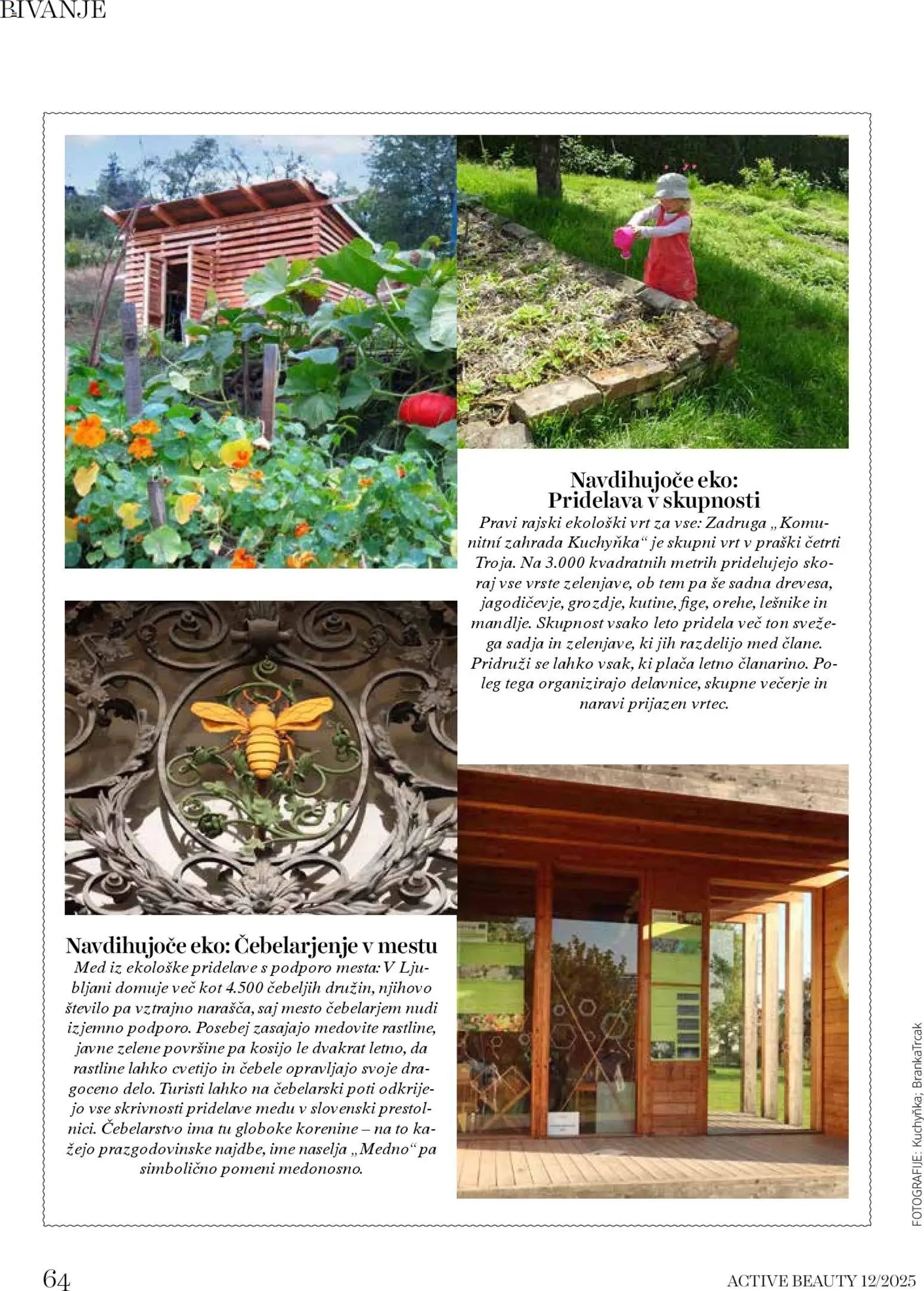 DM Drogerie Markt katalog active beauty (2025-12-01 - 2025-12-31)