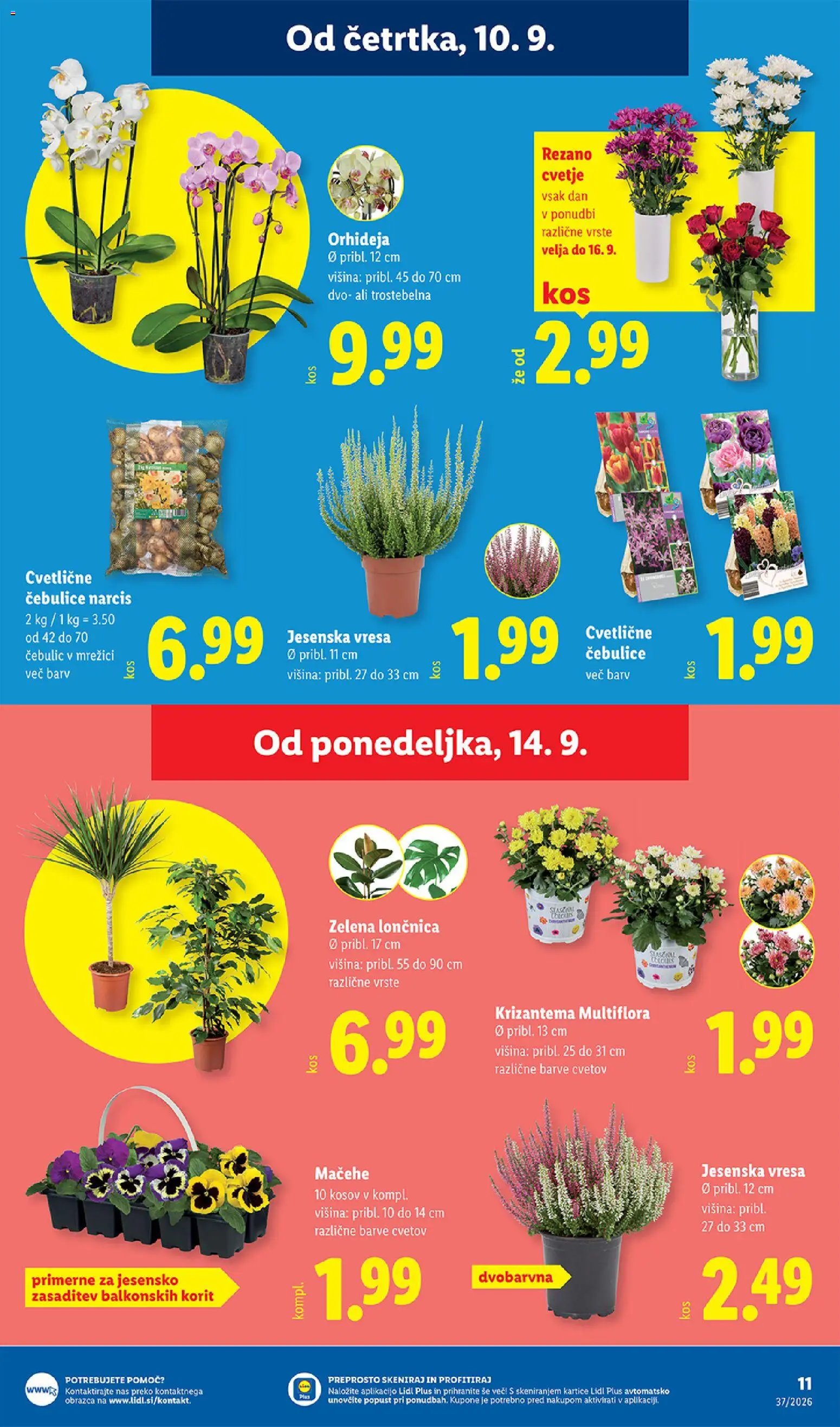 Lidl katalog