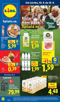 Lidl katalog