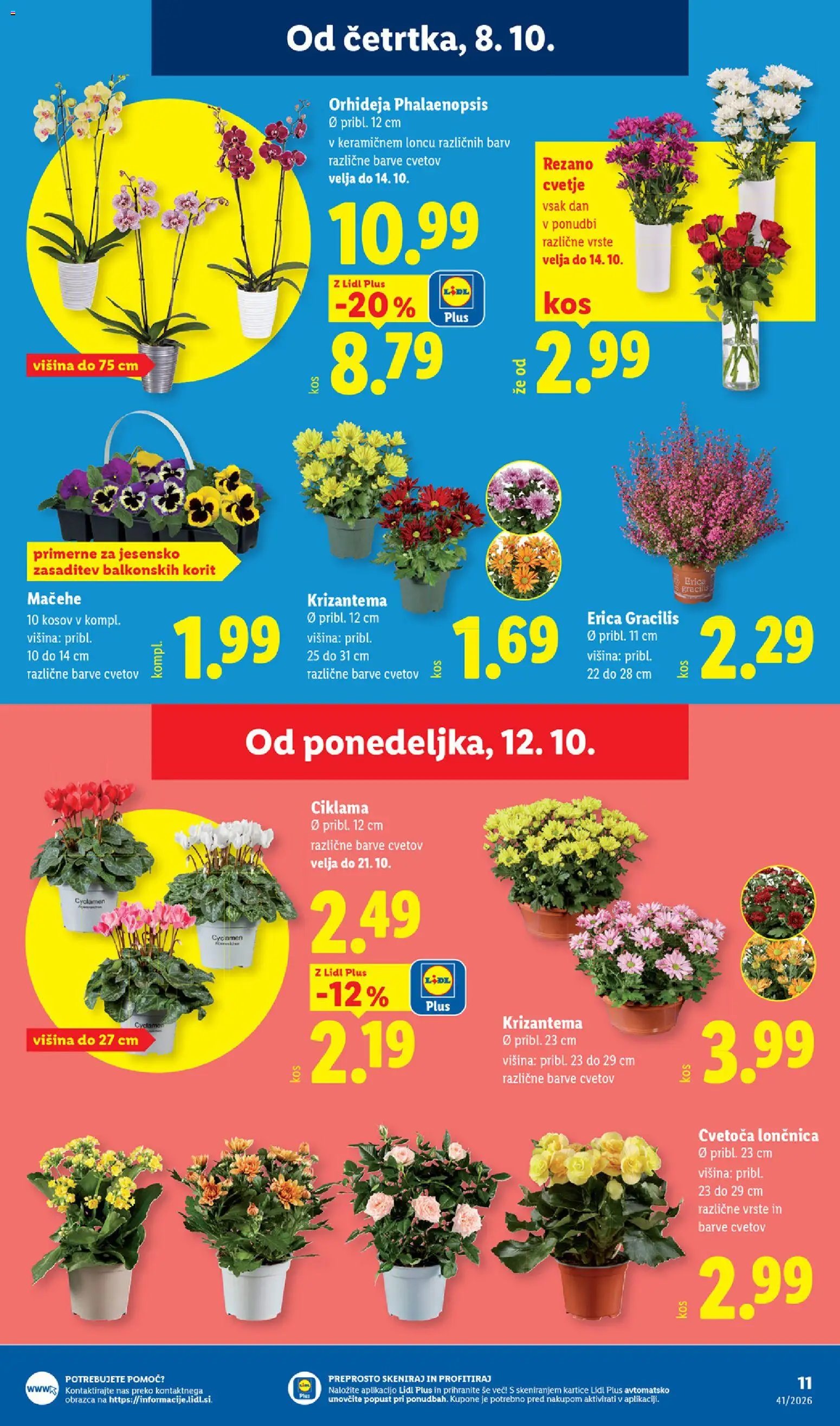 Lidl katalog
