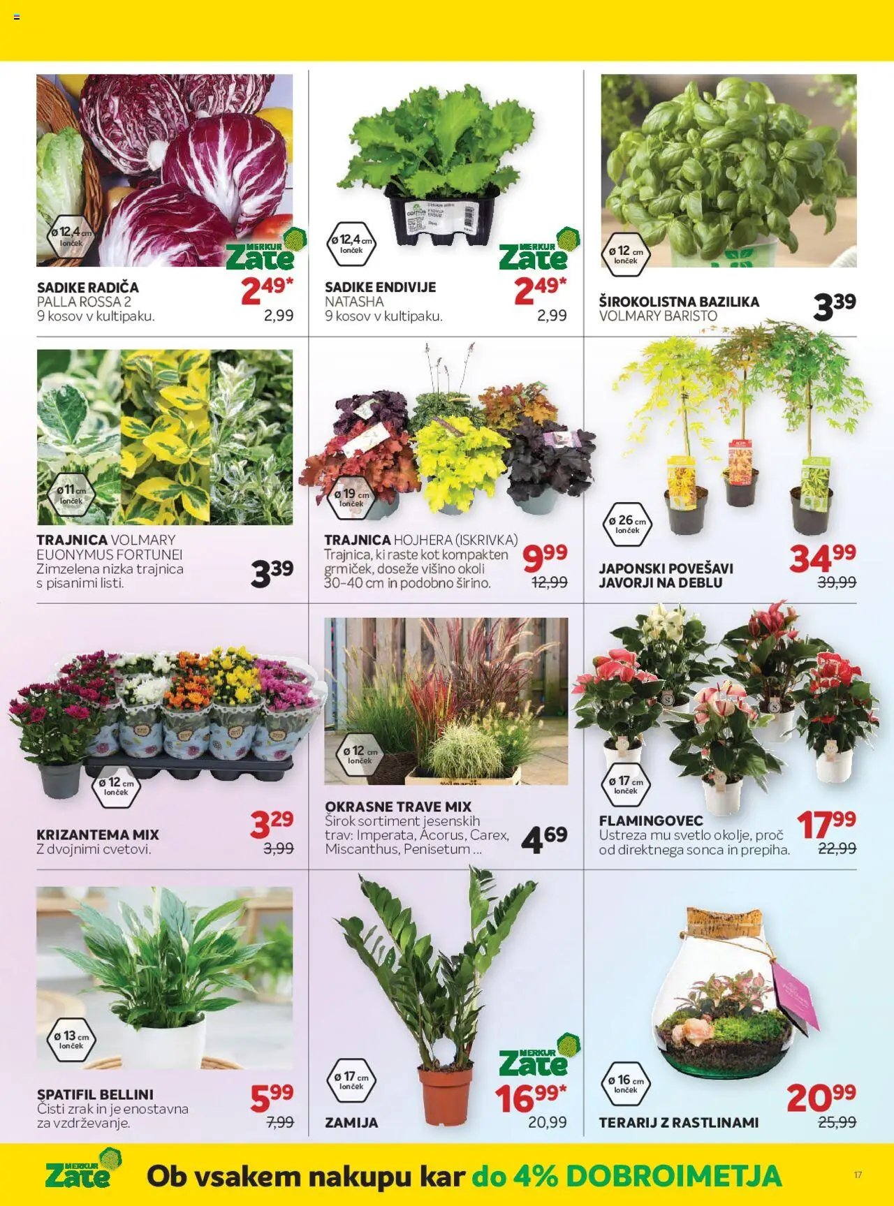 Merkur katalog (2025-08-06 - 2025-09-02)