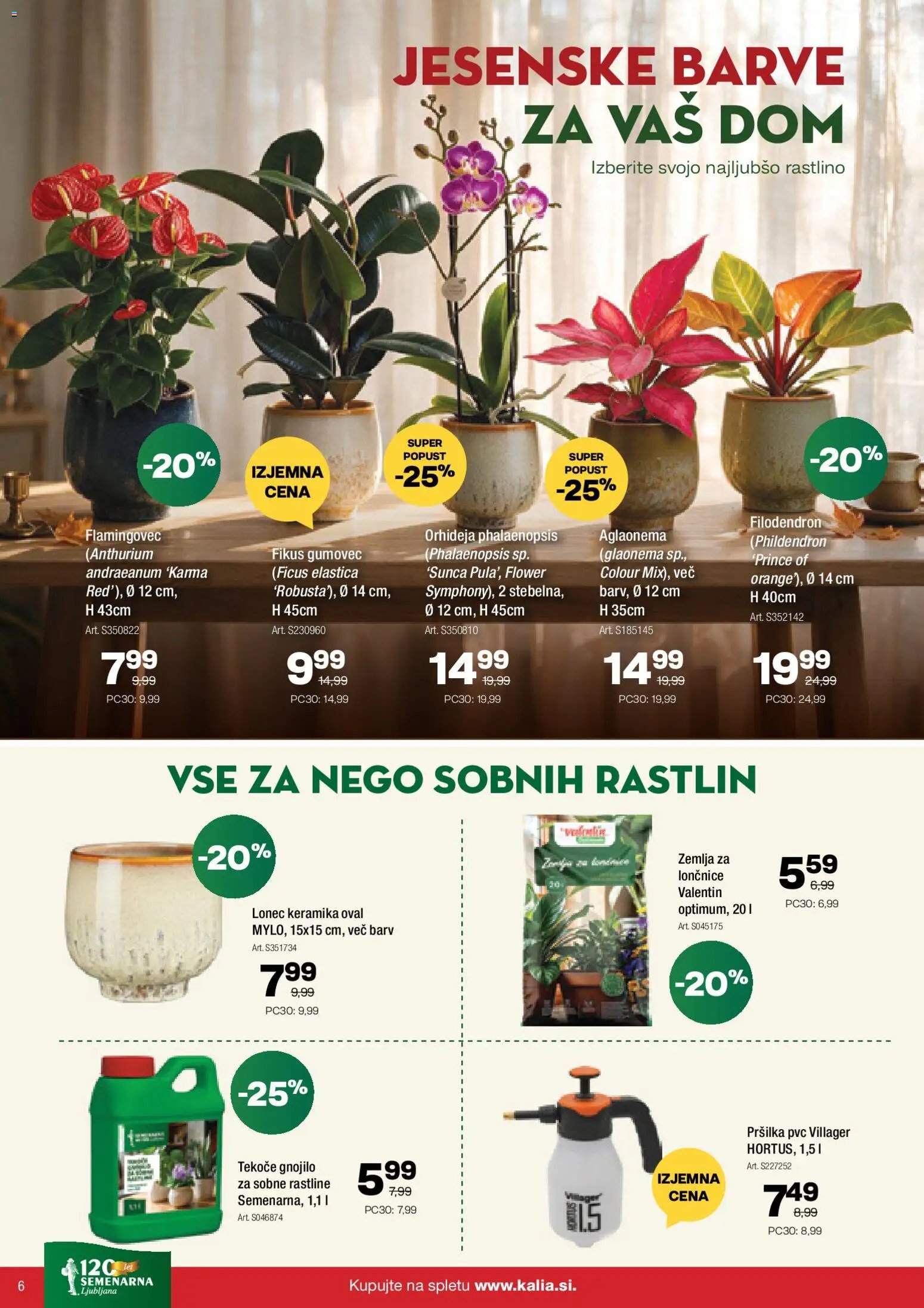 Kalia katalog