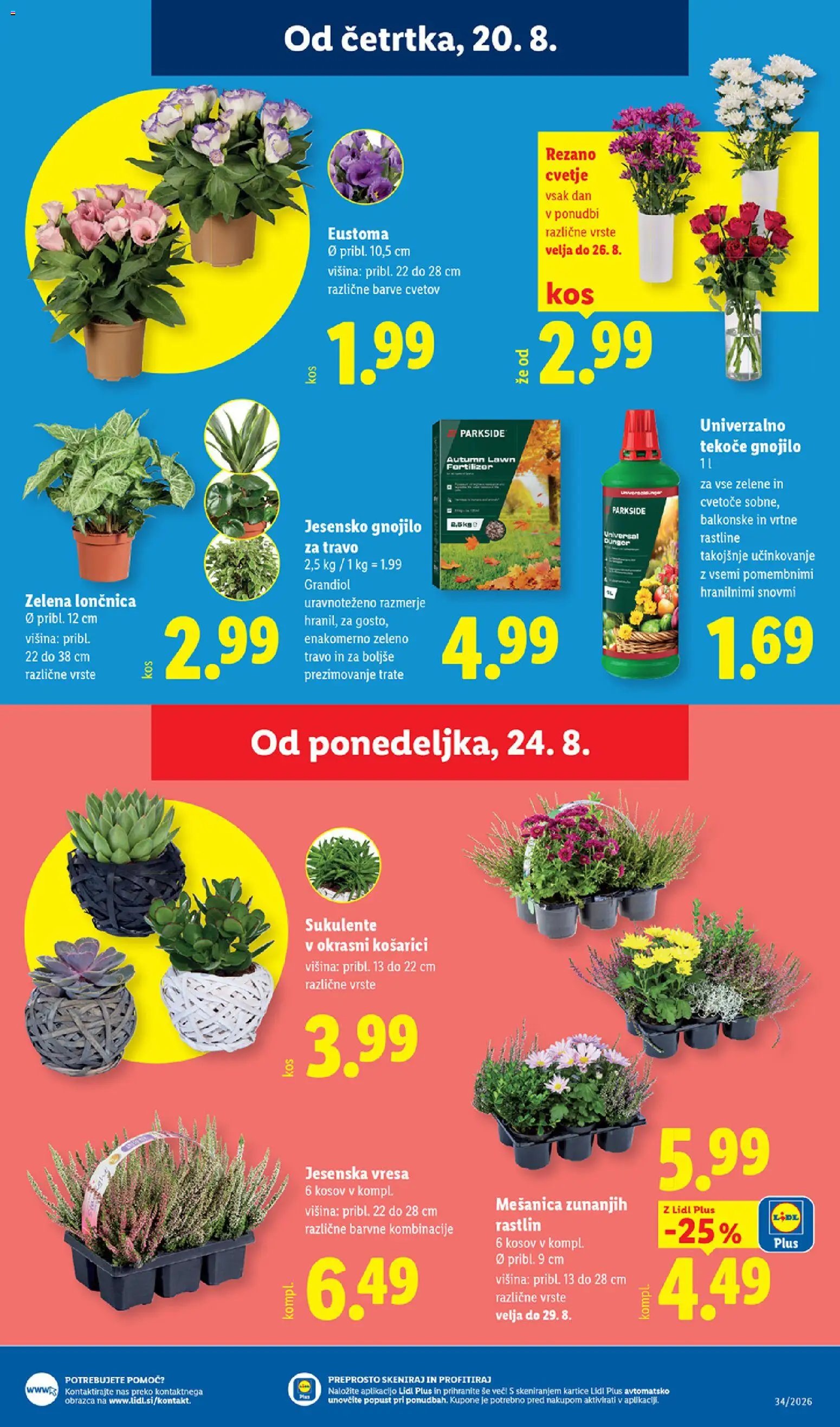 Lidl katalog