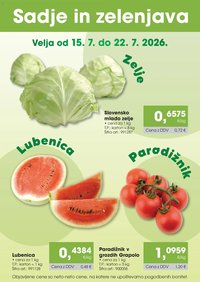 Tuš katalog cash&carry sadje in zelenjava