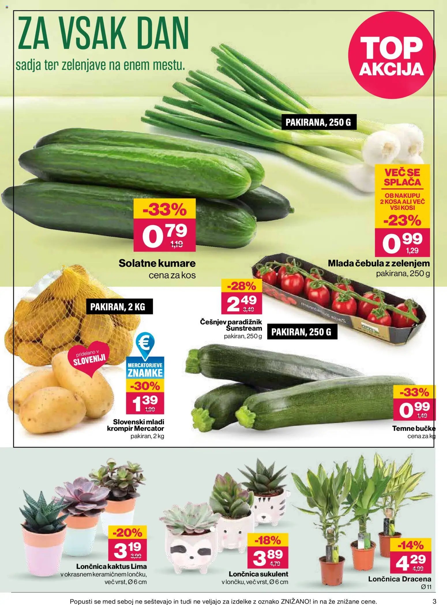 Mercator katalog