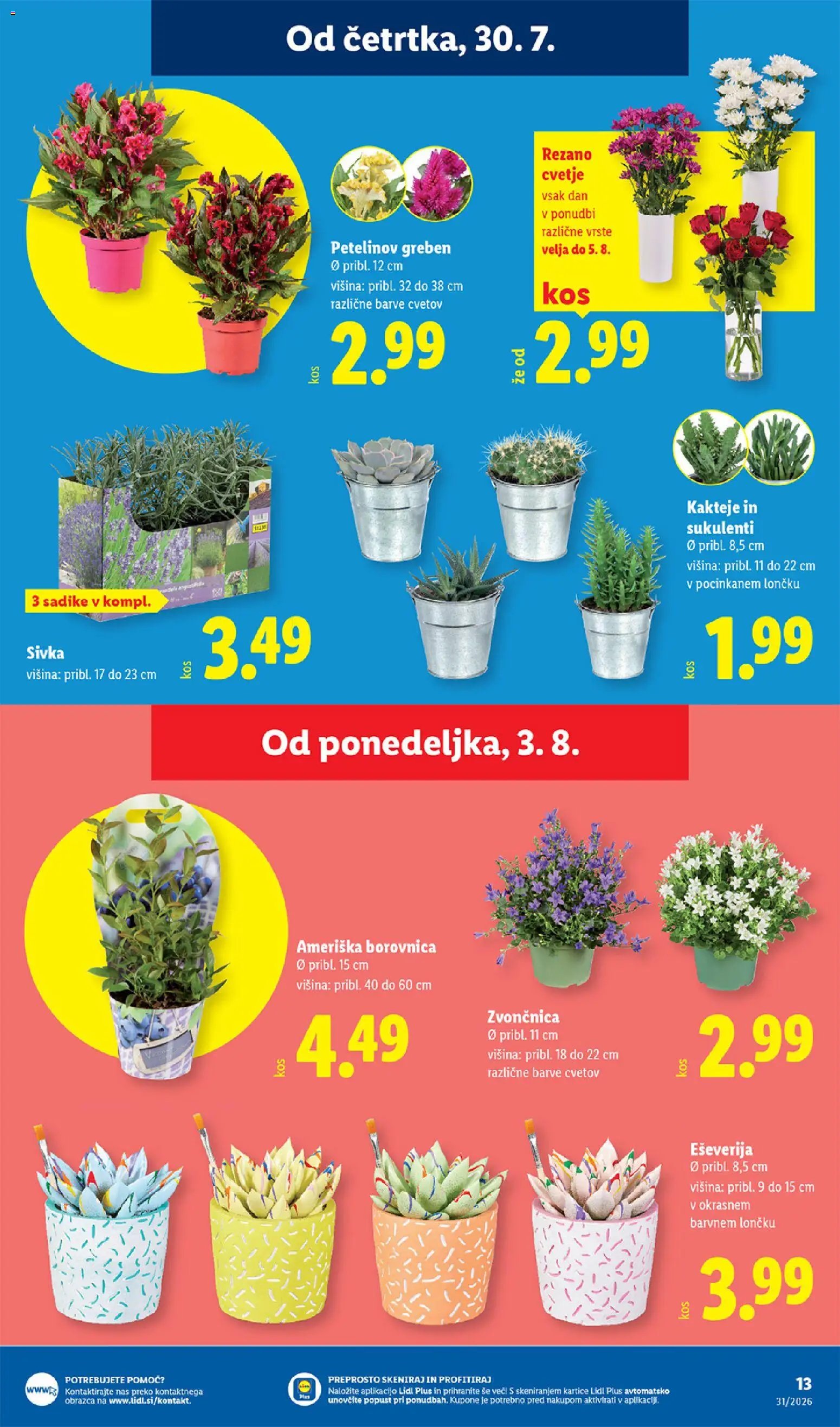 Lidl katalog